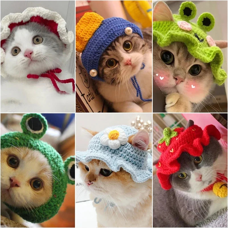 Autumn & Winter Knitted Cat Hat