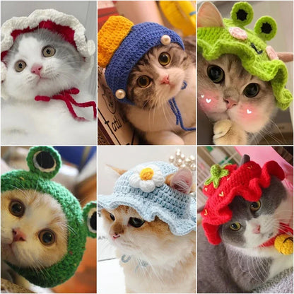 Autumn & Winter Knitted Cat Hat