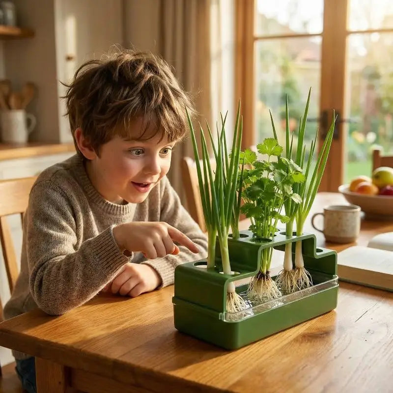 Hydroponic Green Onion Planter with Self-Watering Reservoir