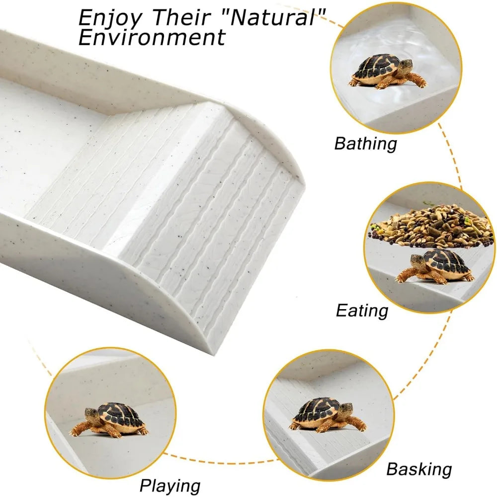 Reptile Bathing Pool with Ramp