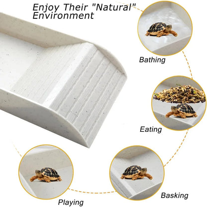 Reptile Bathing Pool with Ramp