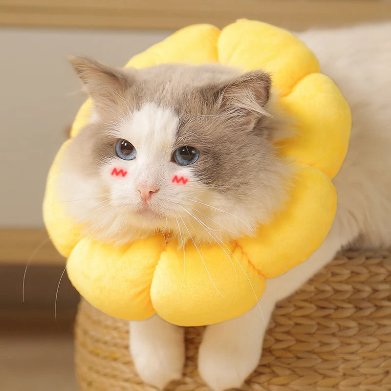 Sunflower Recovery Collar for Cats & Small Dogs
