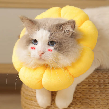 Sunflower Recovery Collar for Cats & Small Dogs