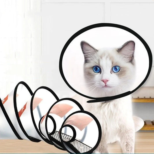 Transparent Pet Recovery Collar
