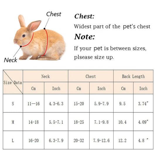 Breathable Small Pet Harness & Leash Set
