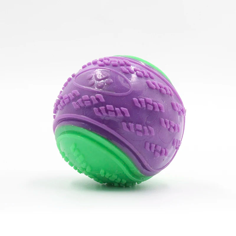 TPR Squeaky Dog Ball Toy