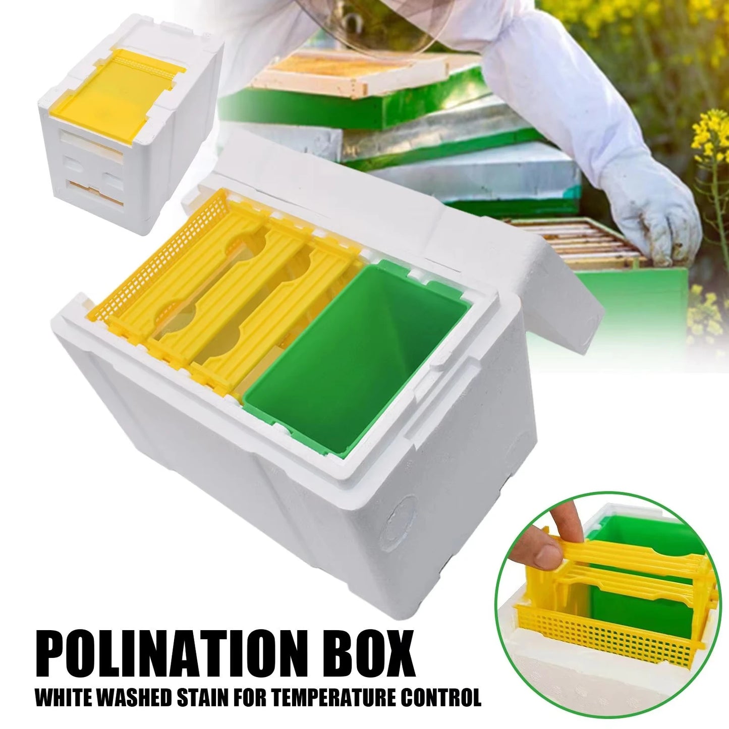 Queen Bee Breeding & Mating Hive Box