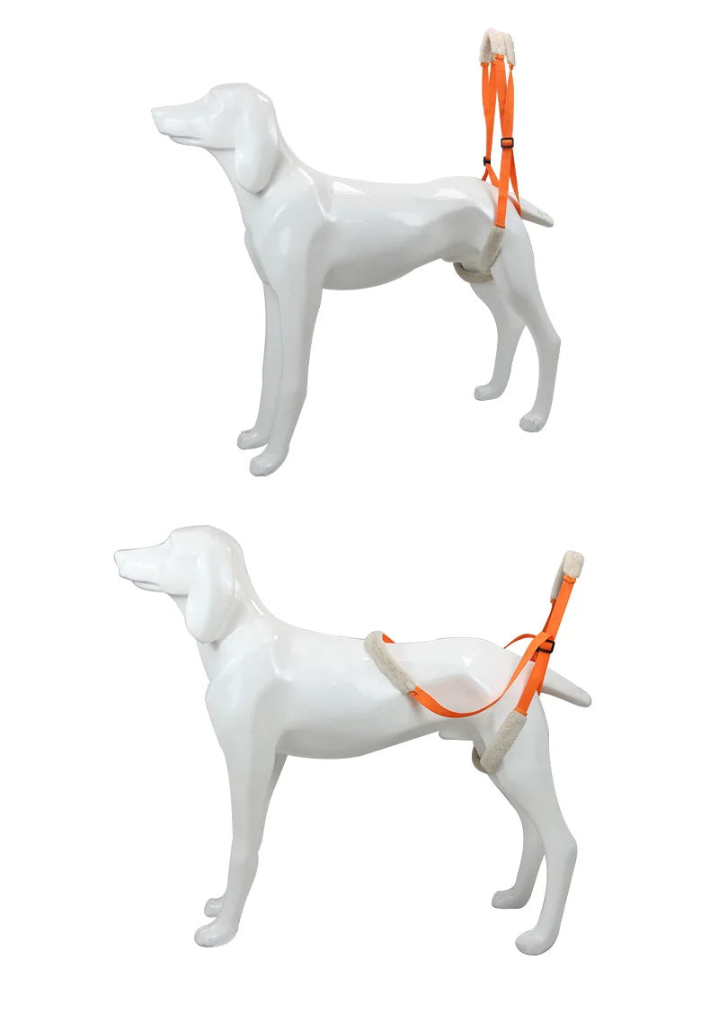 Pet Rear Leg Support Lift Harness