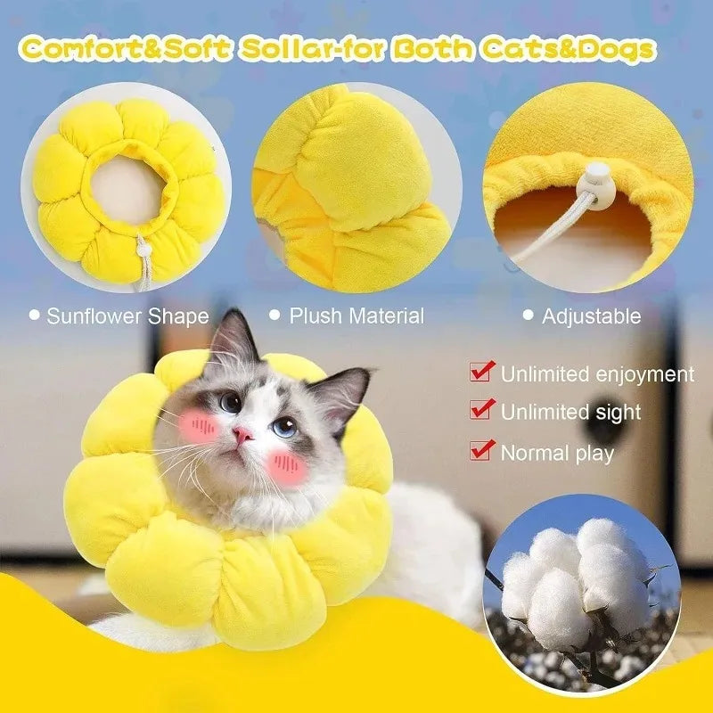 Sunflower Recovery Collar for Cats