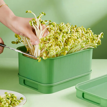 Stackable Seed Sprouting Tray with Lid