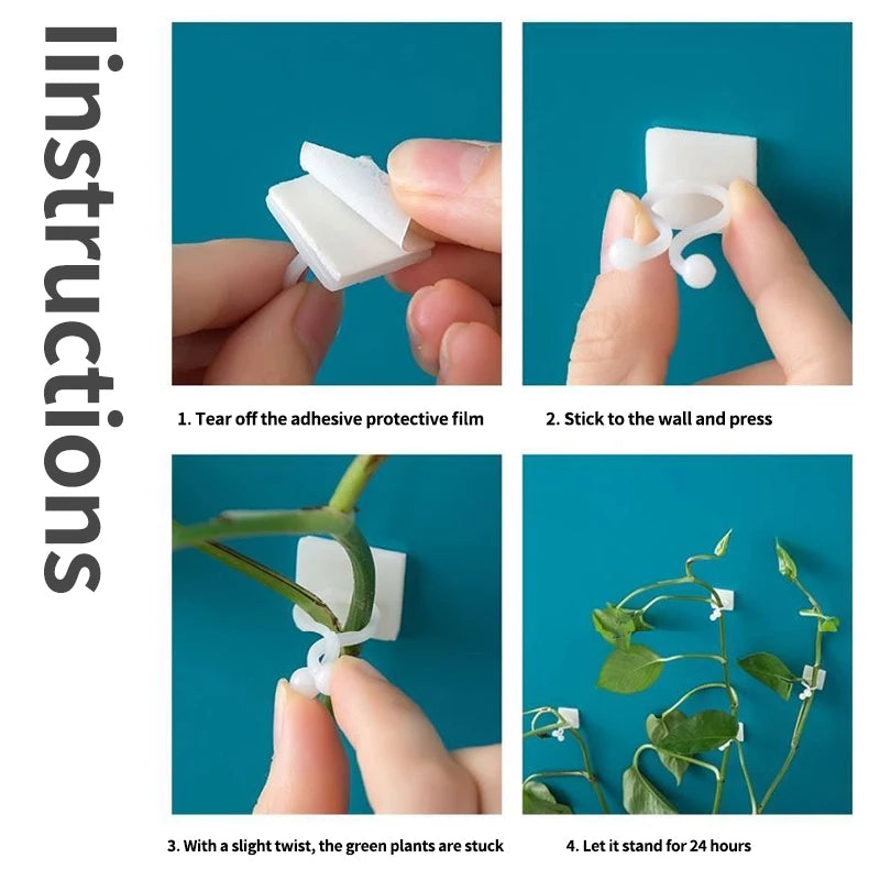 Self-Adhesive Plant Climbing Wall Clips for Vines & Cable Management