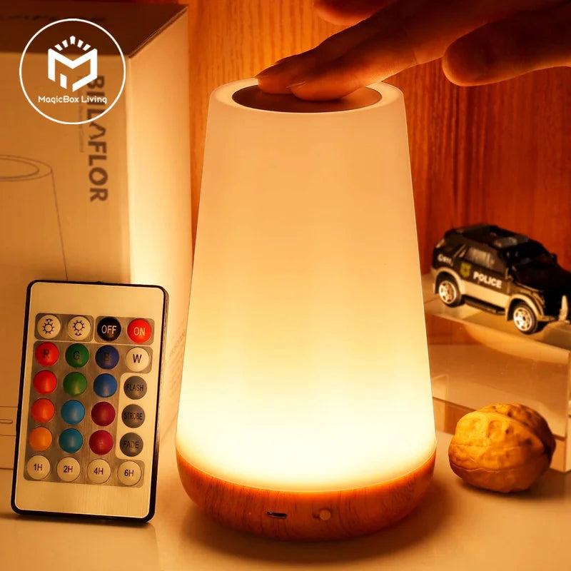 13 Color Changing Night Light