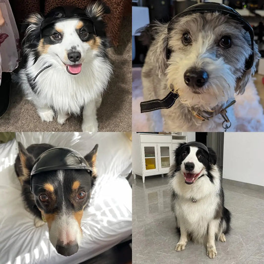 Lightweight Dog Safety Helmet with Ear Openings