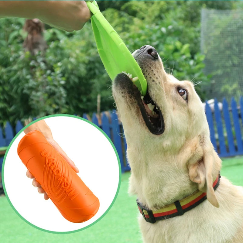 Flexible Silicone Dog Frisbee for Interactive Outdoor Play