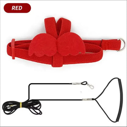 Parrot Training Harness & Anti-Bite Leash Set