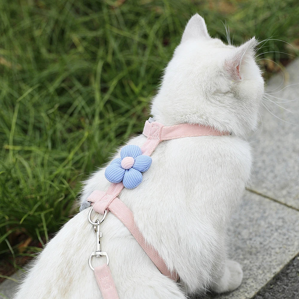 Breathable Adjustable Dog & Cat Harness with Leash Set