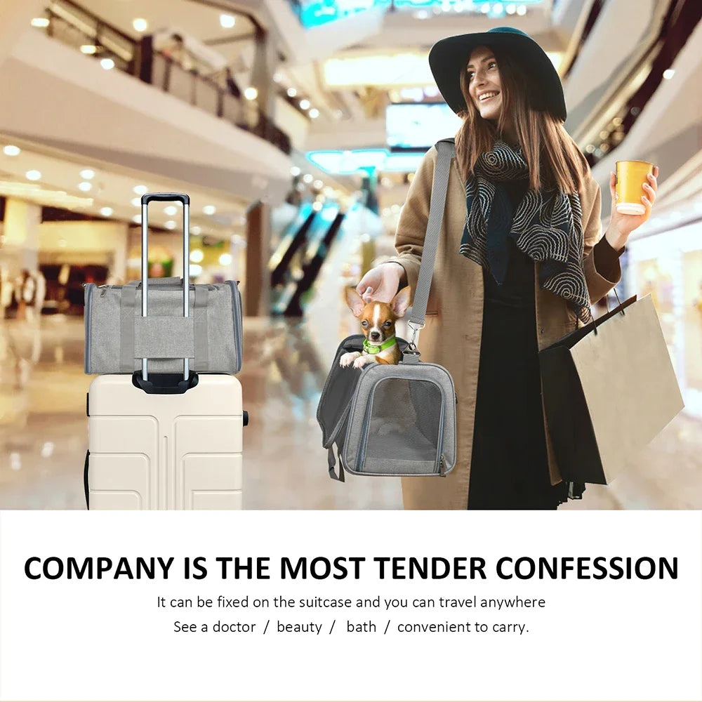 Airline Approved Soft-Sided Pet Carrier Bag for Small Dogs & Cats