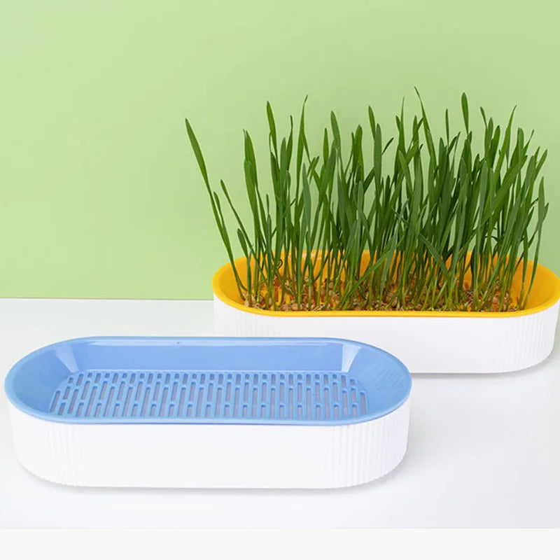 Hydroponic Cat Grass Growing Kit