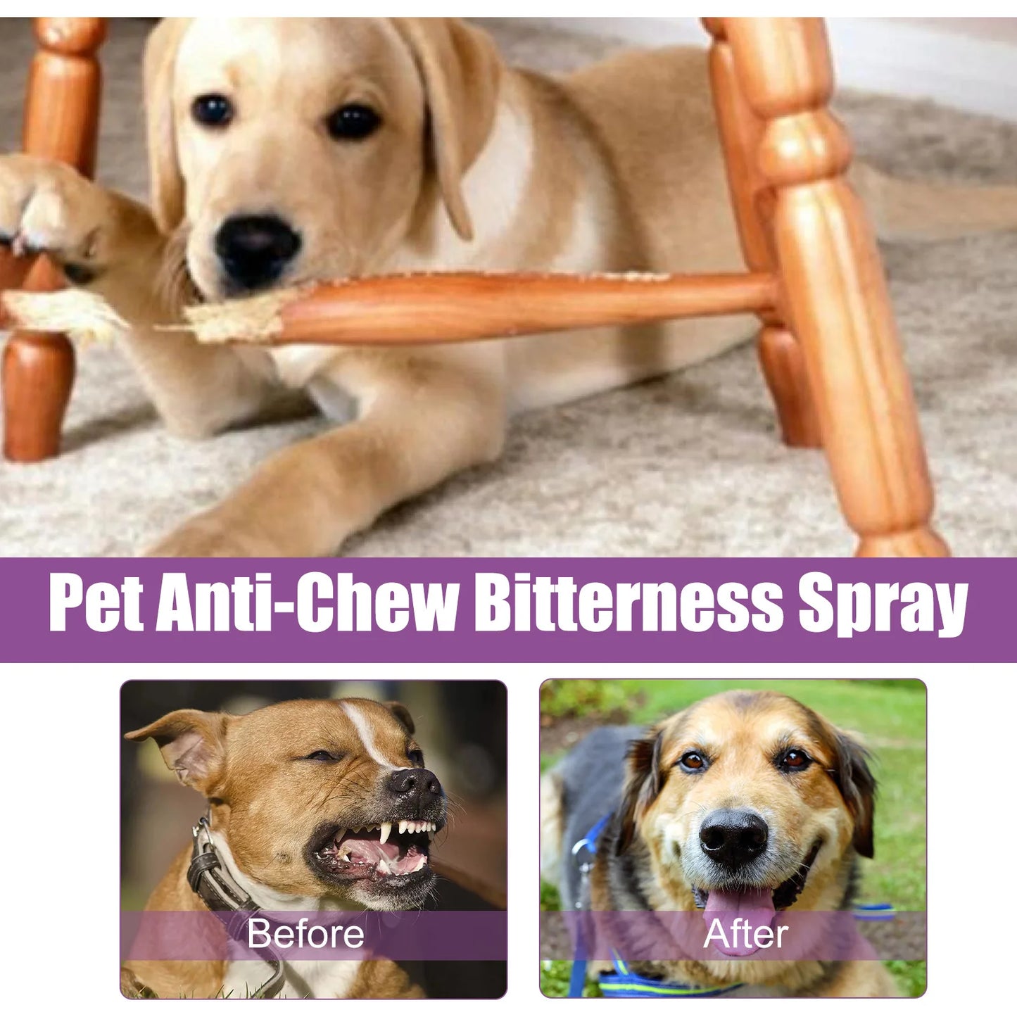 Pet Calming Spray for Cats & Dogs