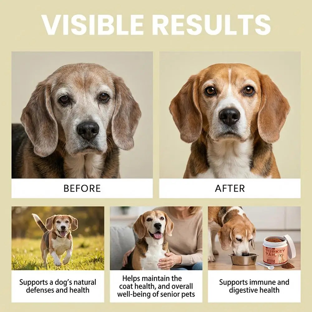 Dog Immune Support Supplement Powder