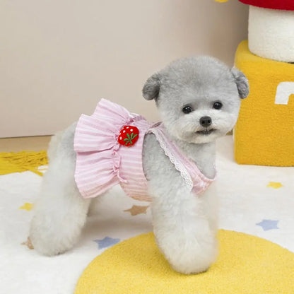 Cute Summer Dress for Dogs & Cats