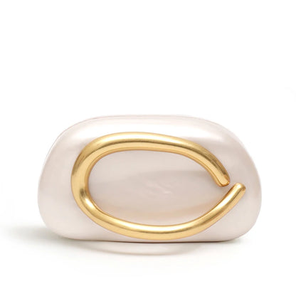 Luxury Acrylic Evening Clutch Bag