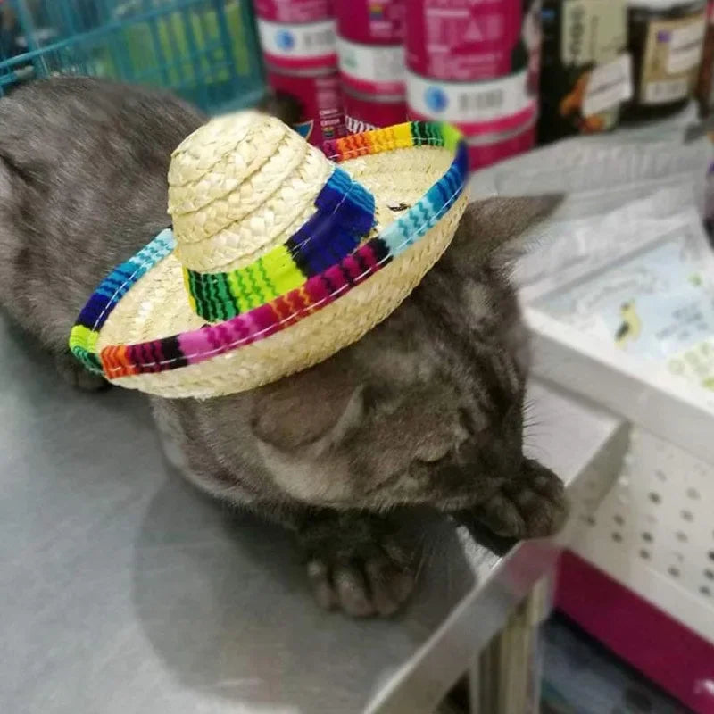 Pet Mexican Sombrero Hat for Dogs & Cats