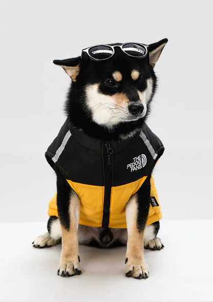 Waterproof Insulated Dog Jacket with Harness – Winter Pet Coat
