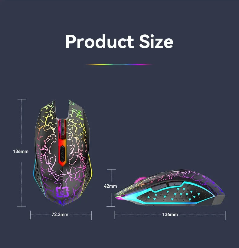 Silent RGB Wireless Gaming Mouse with Type-C Charging