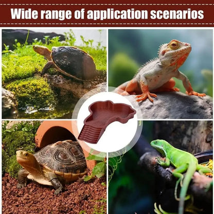 Reptile Bathing Pool with Ramp