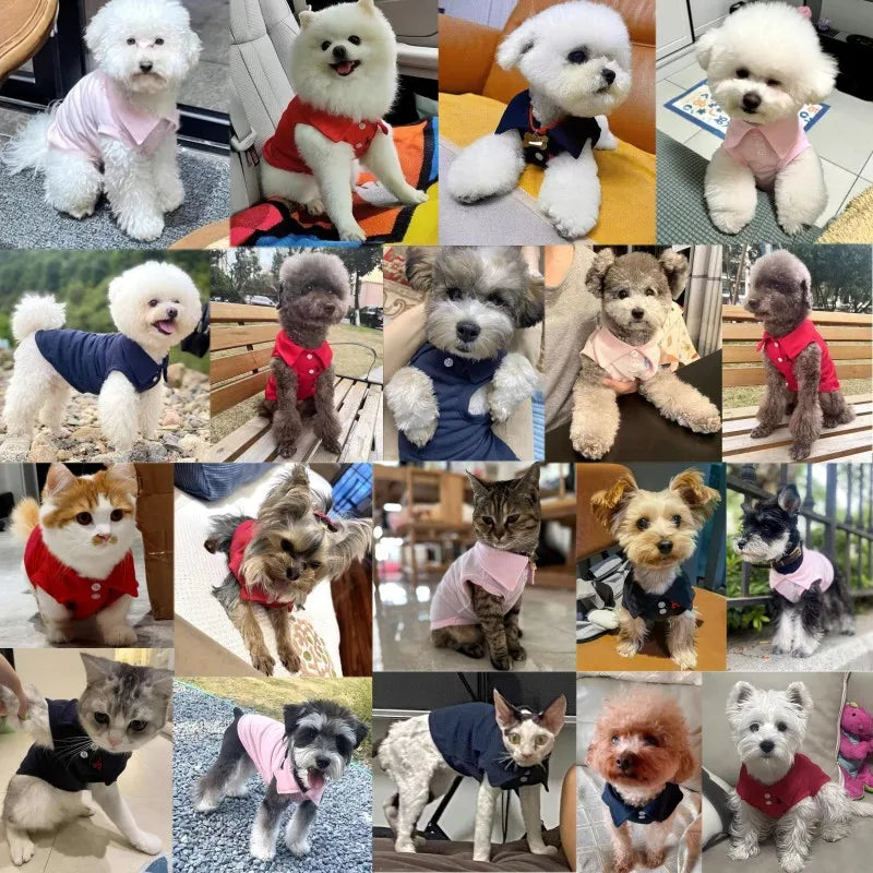 Lightweight Polo Shirt for Small & Medium Dogs & Cats