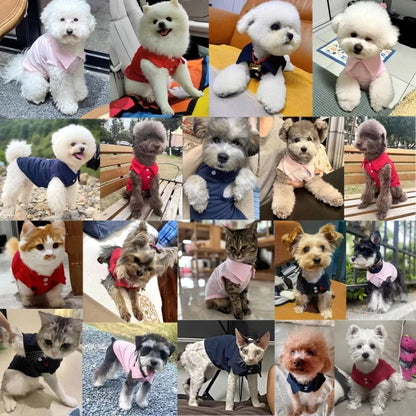 Lightweight Polo Shirt for Small & Medium Dogs & Cats