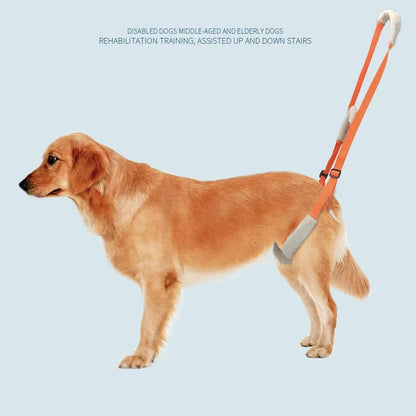 Pet Rear Leg Support Lift Harness