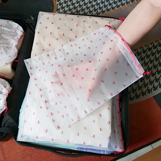 Transparent Travel Shoe Storage Bag