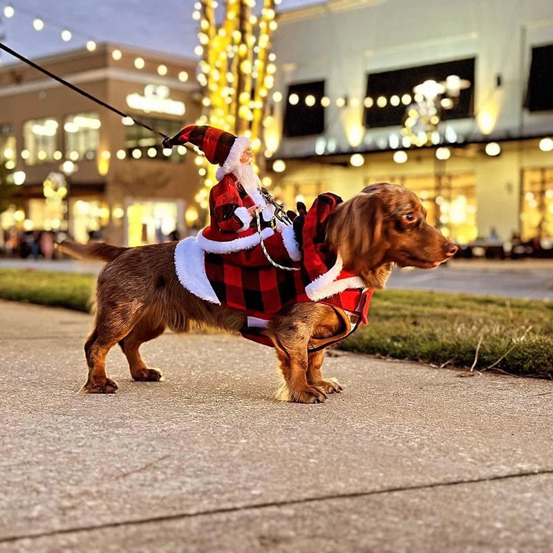 Santa Claus Riding Dog Christmas Costume