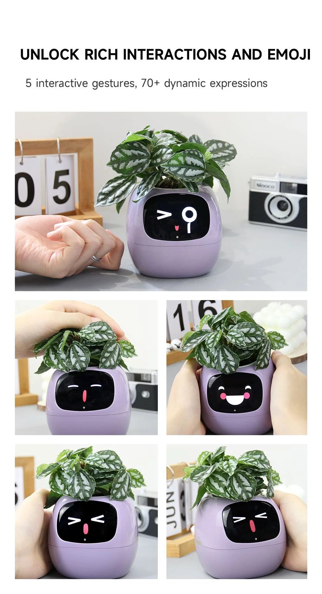 Smart AI Expression Planter