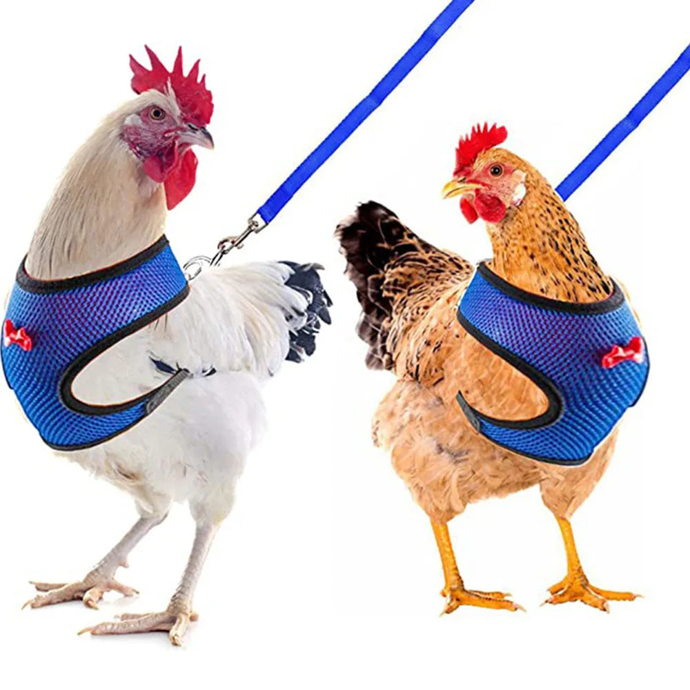 Adjustable Poultry Harness & Leash Set