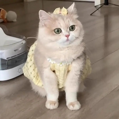 Polka Dot Princess Pet Dress for Cats & Small Dogs