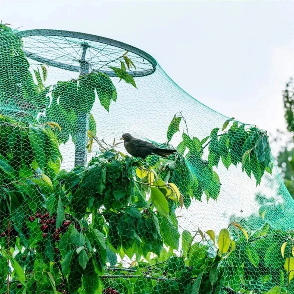 Garden Bird Protection Net