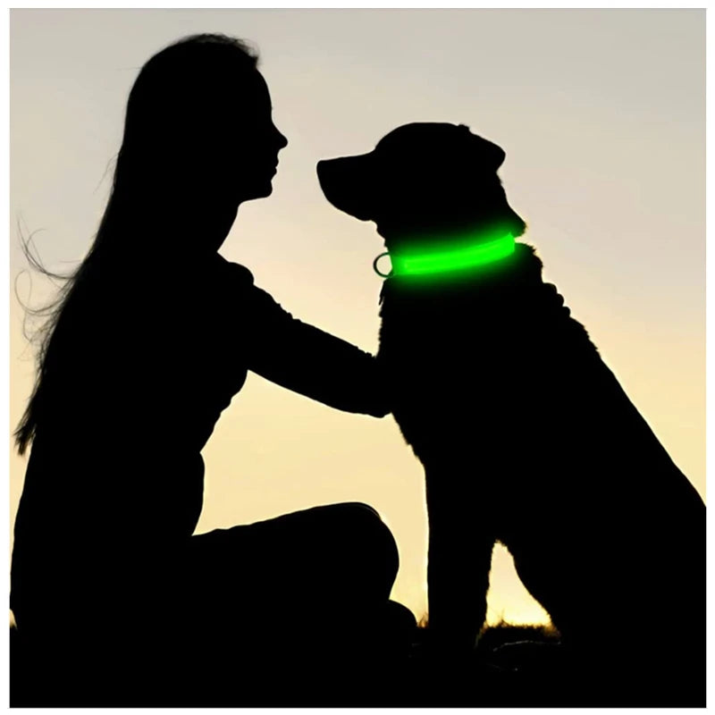 LED Luminous Dog Collar