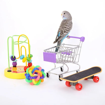 Interactive Bird Training Toy Set
