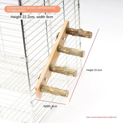 Bird Climbing Ladder