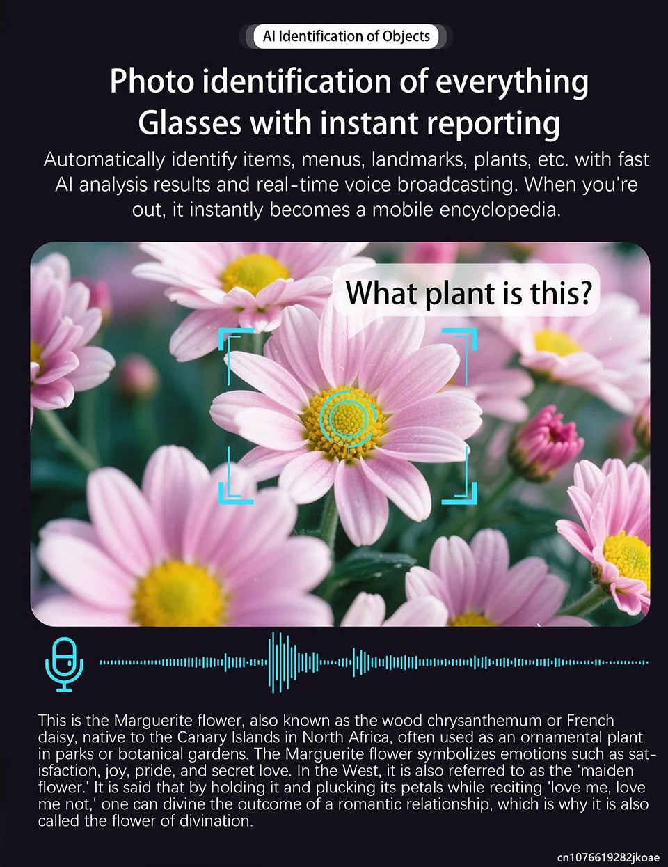 AI Camera Smart Glasses
