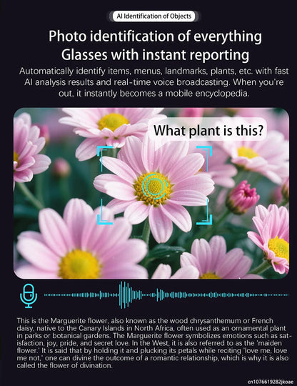 AI Camera Smart Glasses