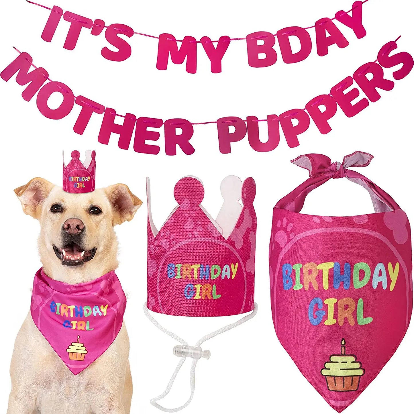 Dog Birthday Party Bandana Set