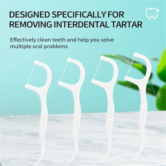 Portable Disposable Dental Floss Picks