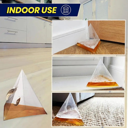 Reusable Slug Beer Traps
