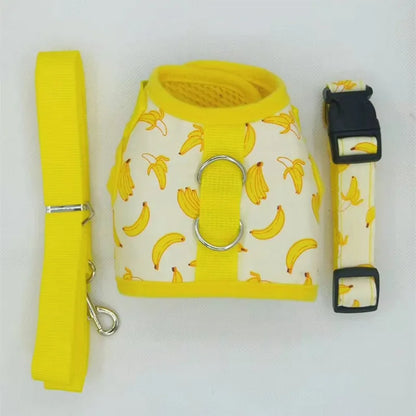 Reflective Cat Vest Harness with Walking Strap