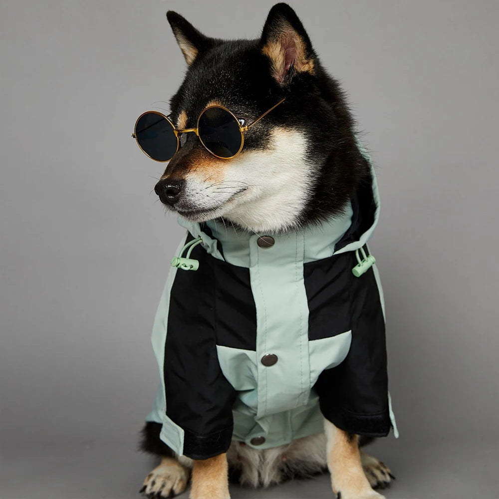 Waterproof Dog Jacket – Outdoor Rain Coat for Small & Large Dogs
