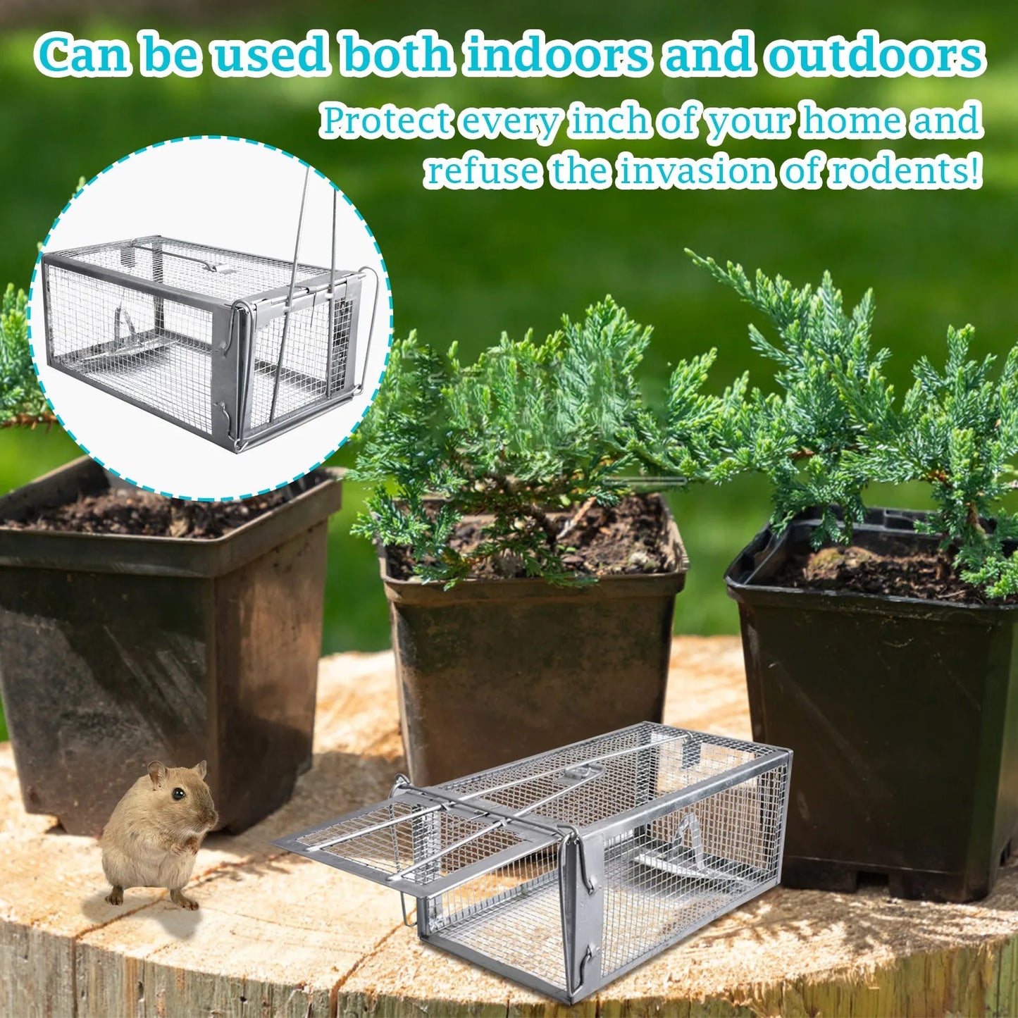 Humane Live Rodent Cage Trap